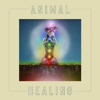 Animal Healing: Japanese New Age Music for Relaxation, Stress Relief, Reiki Session by Pet Music Academy