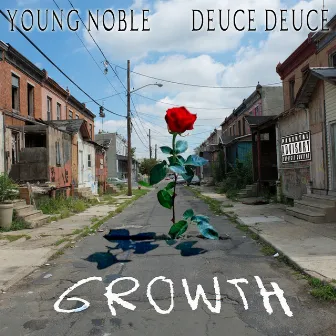 Growth by Young Noble