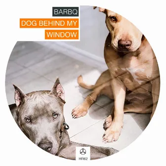 Dog Behind My Window by BarBQ