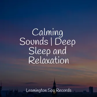 Calming Sounds | Deep Sleep and Relaxation by Sleep Sounds