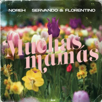 Muchas Mamás by Servando & Florentino