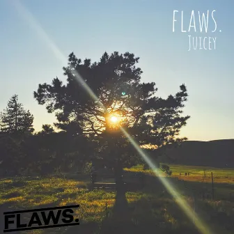 Flaws. by Juicey