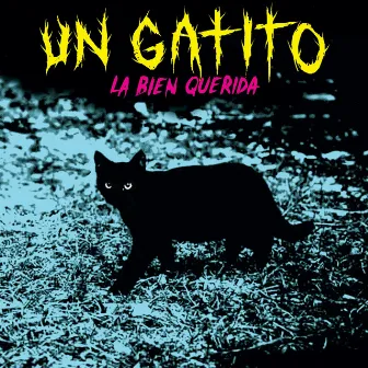 Un Gatito by La Bien Querida