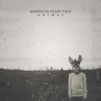 Animal by Hidden In Plain View