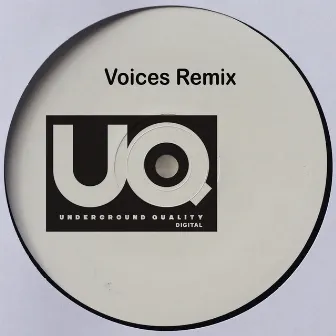 Voices (Remixes) by Nina Kraviz