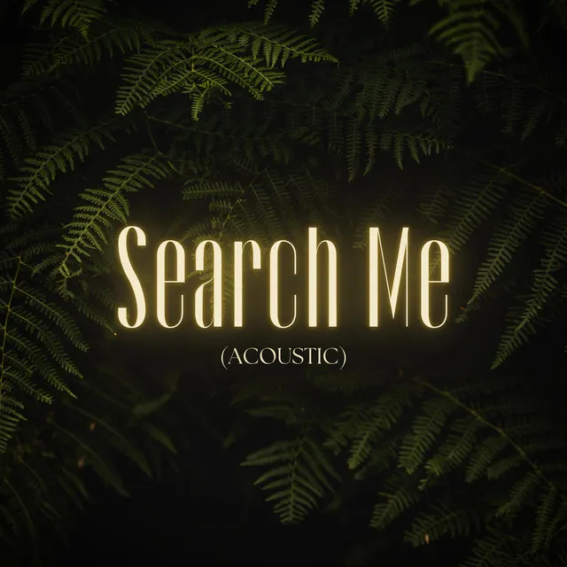 Search Me - Acoustic