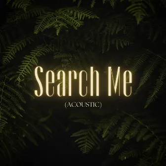 Search Me (Acoustic) by Ian Osawaye