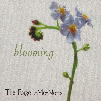 blooming by Forget Me Nots