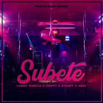 Subete by Landy Garcia