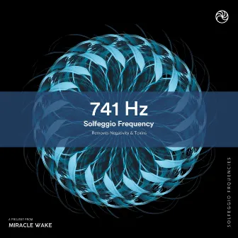 741 Hz Removes Toxins and Negativity by Solfeggio Frequencies Healing Music