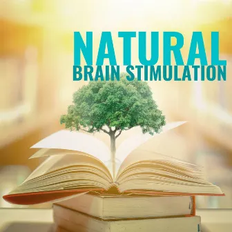 Natural Brain Stimulation: Music to Heal your Mind, Sounds of Nature to Increase the Power of your Brain by Unknown Artist