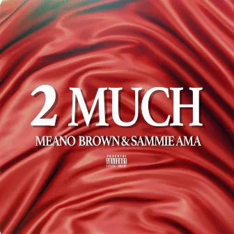 2 MUCH by Meano Brown