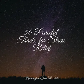 50 Peaceful Tracks for Stress Relief by Soothing Baby Music