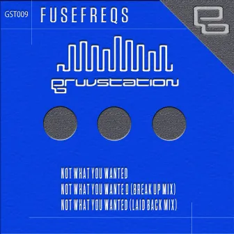 Not What You Wanted (GST009) by FuseFreqs