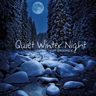 Quiet Winter Night — an Acoustic Jazz Project by Hoff ensemble