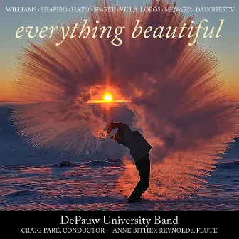 Everything Beautiful by Unknown Artist