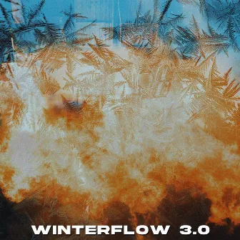 WINTERFLOW 3.0 by Z4NE