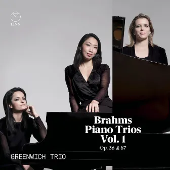 Brahms: Piano Trios Vol. 1, Op. 36 & 87 by Yoko Misumi