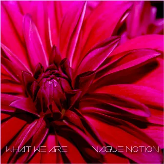 What We Are by Vague Notion