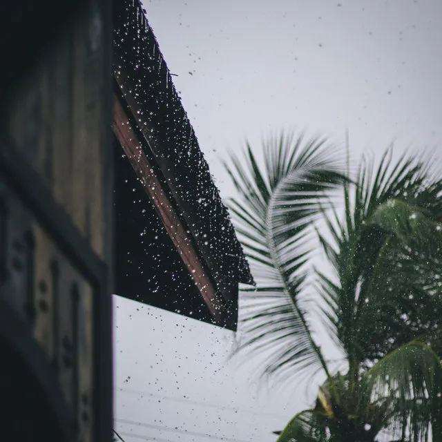 Rain Softly