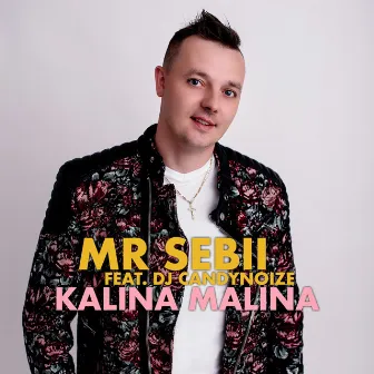 Kalina Malina (Radio Edit) by Mr Sebii