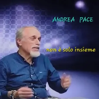 Non è solo insieme by Andrea Pace