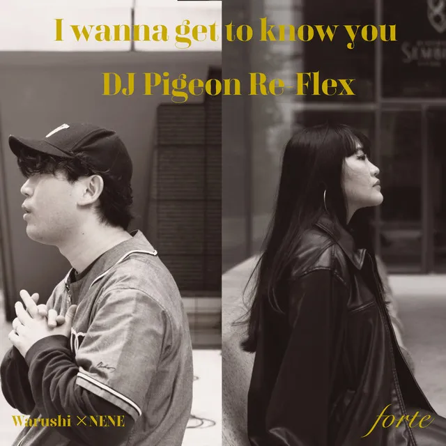 I wanna get to know you (DJ Pigeon Re-flex)