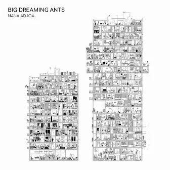 Big Dreaming Ants by Nana Adjoa