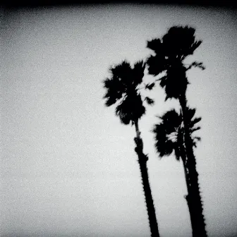 Blackberry Belle by The Twilight Singers