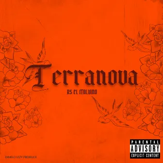 Terranova by RS EL ITALIANO