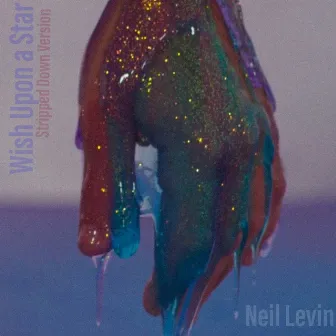 Wish Upon a Star (Stripped Down Version) by Neil Levin