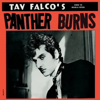 Behind the Magnolia Curtain by Tav Falco's Panther Burns