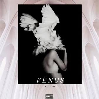 Vénus by Le Louis