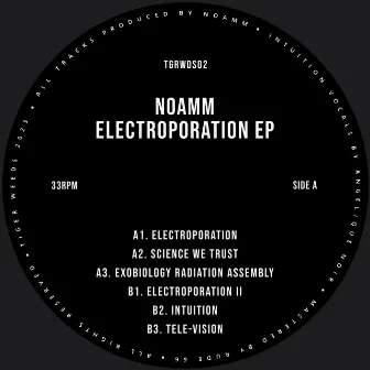 Electroporation EP by Noamm