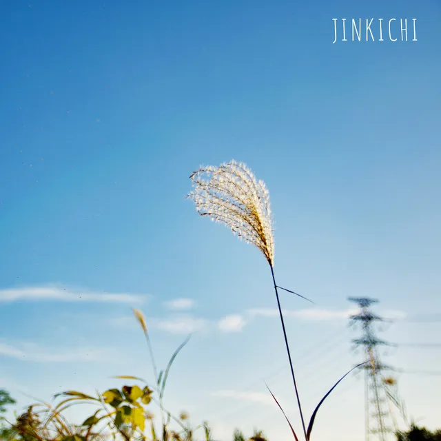 Wind Touch