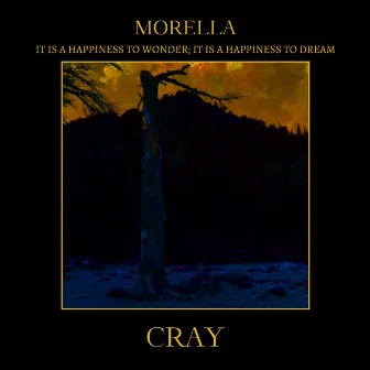 Morella Part I: It is a Happiness to Wonder, It is a Happiness to Dream by Cray