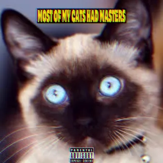 MOST OF MY CATS HAD MASTERS by Crafty 893