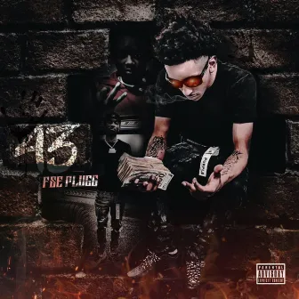 43 by FSE PluGg