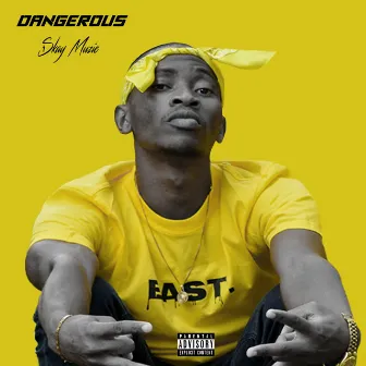 Dangerous by Skay Muzic