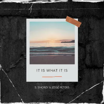 It Is What It Is by S. Shorey