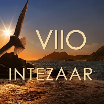 Intezaar by VIIO