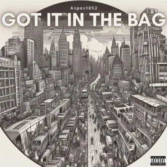 GOT IT IN THE BAG by Aspect852