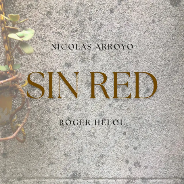 Sin Red