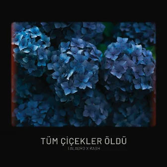 Tüm Çiçekler Öldü by RASH