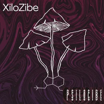 Psilocibe by XiloZibe