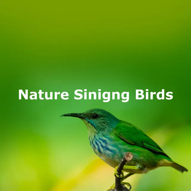 Nature Sinigng Birds