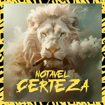 Notável Certeza by DWnobeat