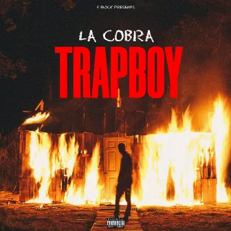 TRAPBOY by LaCobraMusic