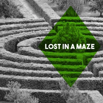 Lost in a Maze by Berlin Chamber Opera Orchestra