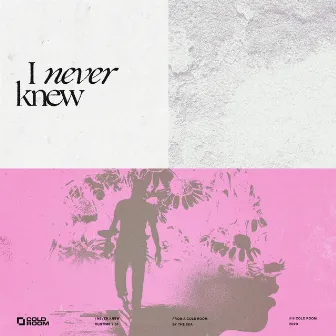 I Never Knew by Coldroom